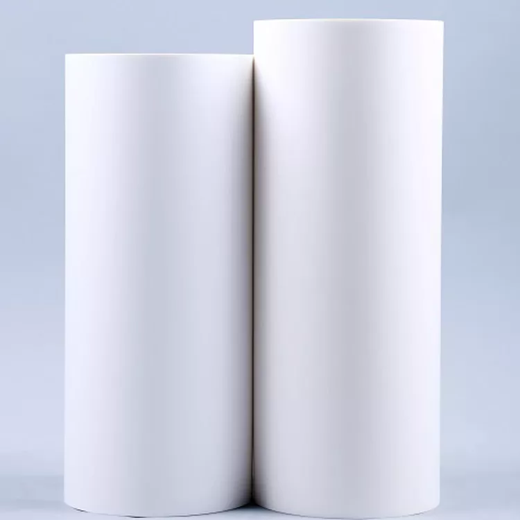 <strong>High and low temperature resistance material PP plastic roll for thermoforming trays of frozen food</strong>