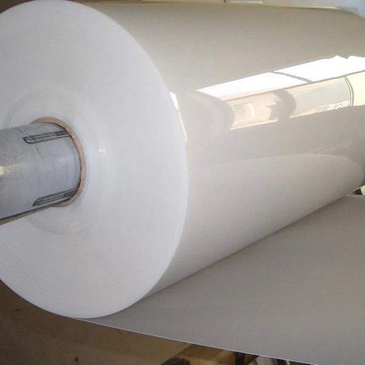 Wholesale Polypropylene Roll Sheet China Factory Price