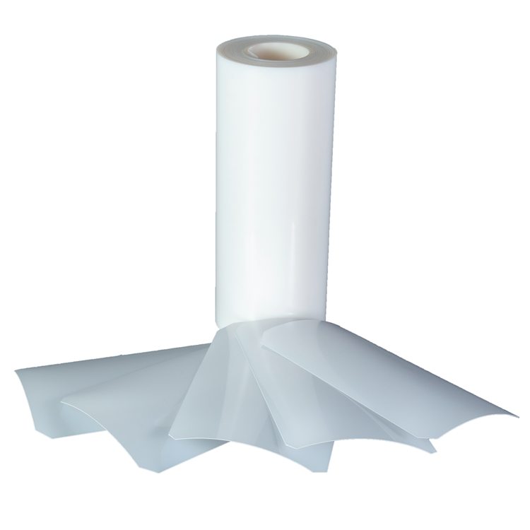 <strong>Factory Low Price Plastic Polypropylene Film Transparent</strong>