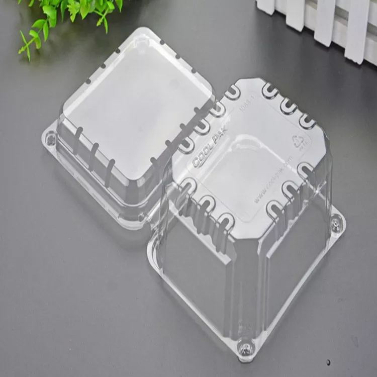 Wholesale Cheap Low Price Plastic PET Film Roll Transparent-3
