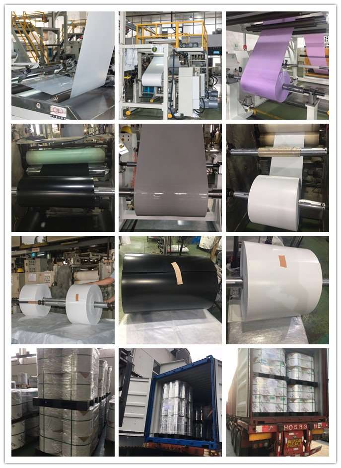 Coating PET thermoforming sheet roll