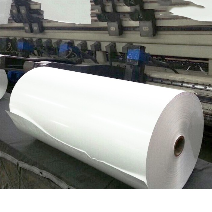 thermoforming plastic pp pet ps material sheet roll for vacuum forming and blister products