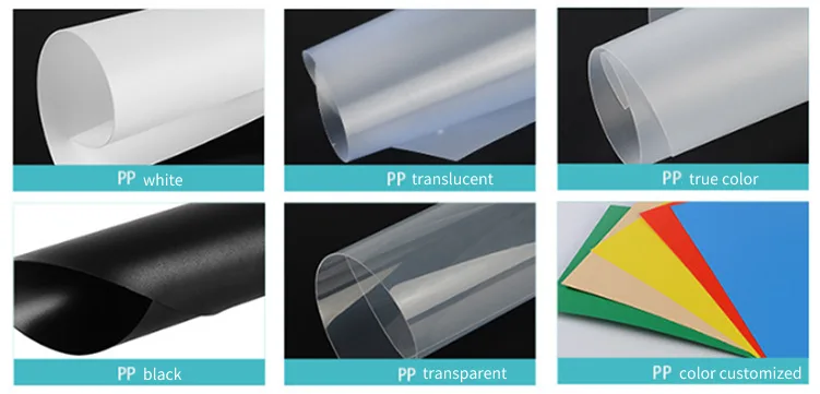 PP plastic sheet roll