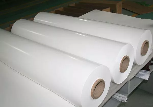  Wholesale Milky White PP Sheet Manufacturer and Supplier China-0