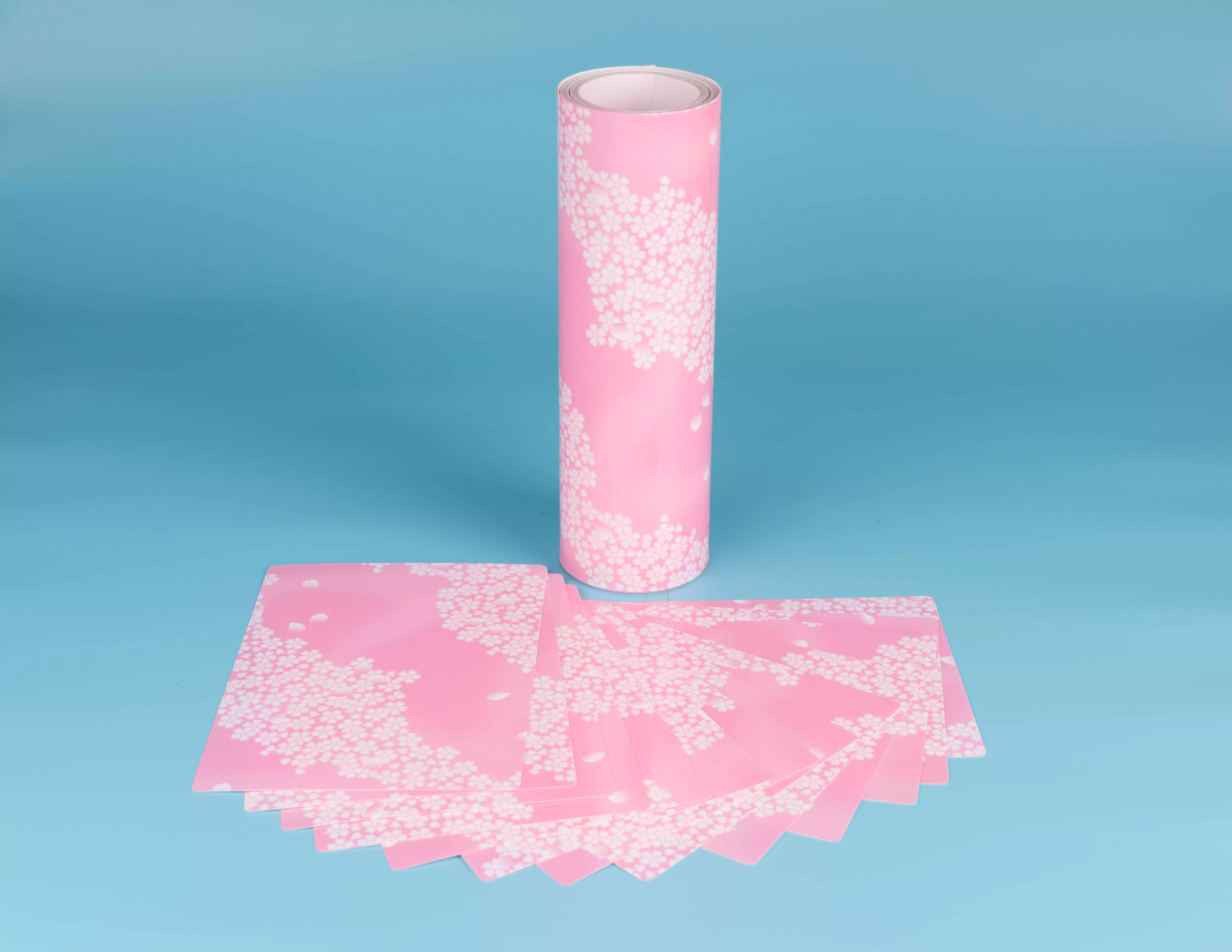  Coating PET plastic sheet roll-3