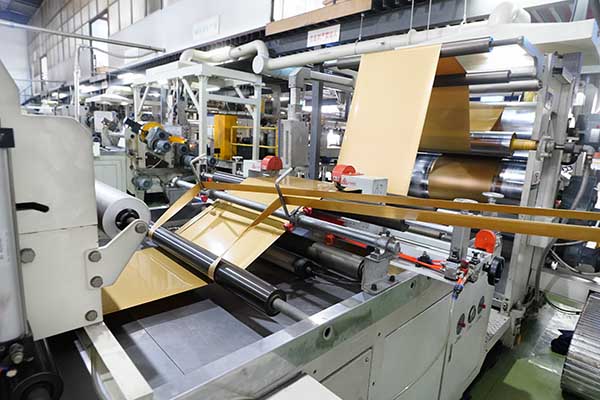  Feuille en plastique PP pour plateaux à biscuits-17286